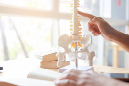 Kieferorthopädie / Osteopathie Schaafheim / Dr. Vogel